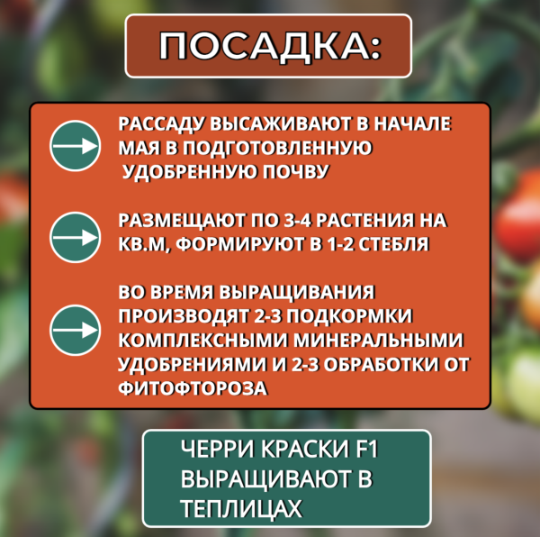 Семена Томат Черри Краски F1 5 шт Партнер
