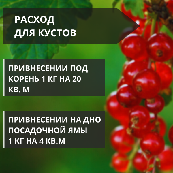 Почвоулучшитель Reasil для органического земледелия 3 кг