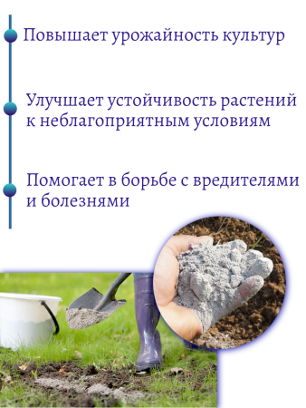 Зола подсолнечника 2 л, 2 шт