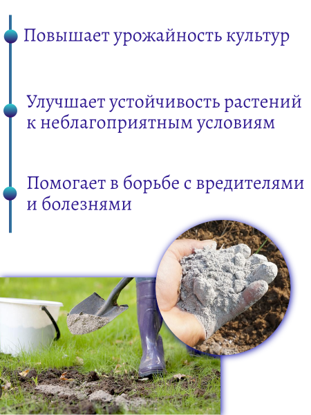 Зола подсолнечника 2 л