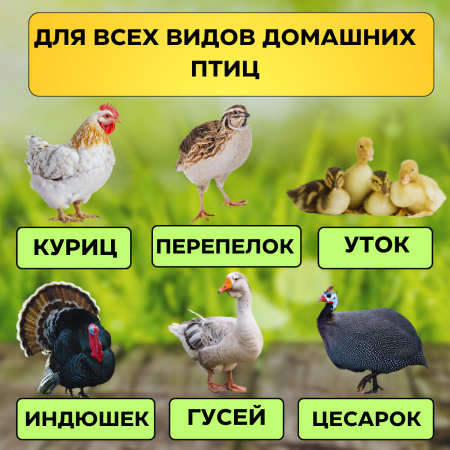 Сухая дезинфицирующая присыпка для птицеводства Biodry 1 кг