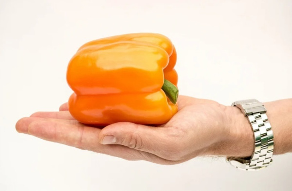 Семена Перец Аллар F1 5 шт Партнер