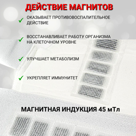 Магнитный корректор осанки, поддержка спины размер L 46-48 Biomag