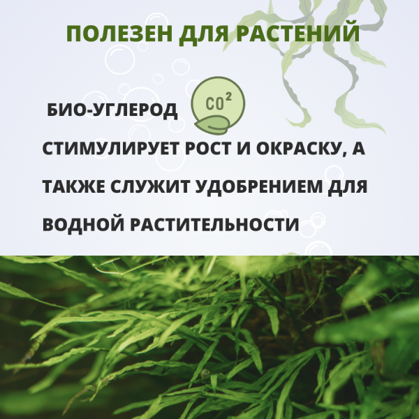 Антибородин средство против водорослей в аквариуме 1 л Антибородин средство против водорослей в аквариуме 1 л