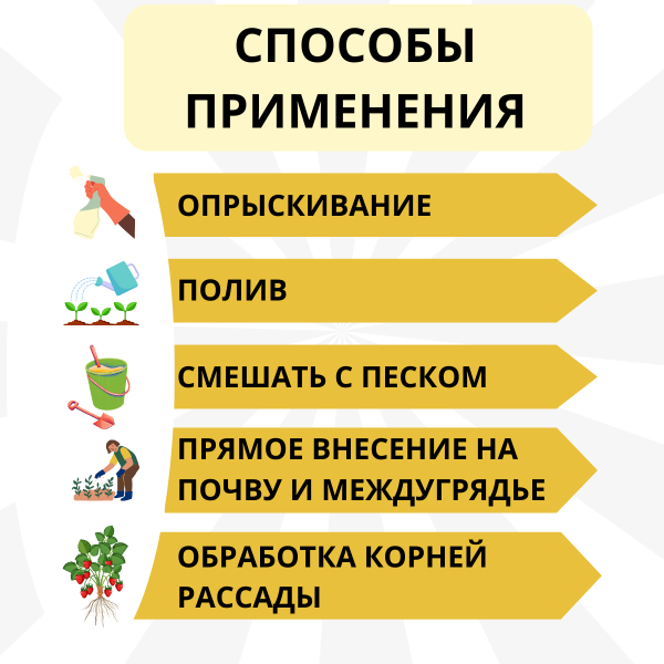Средство Микорад INSEKTO 1,3 Lecanicillium lecanii для защиты растений от клещей тли белокрылки 50 г