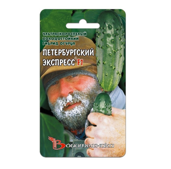 Семена Огурец Петербургский экспресс АГ Биотехника