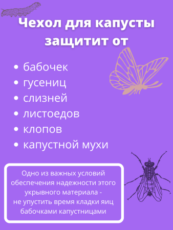 Шапочка с УФ для капусты 20 шт