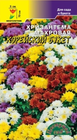 Семена Хризантема махровая Корейский букет Цветущий сад