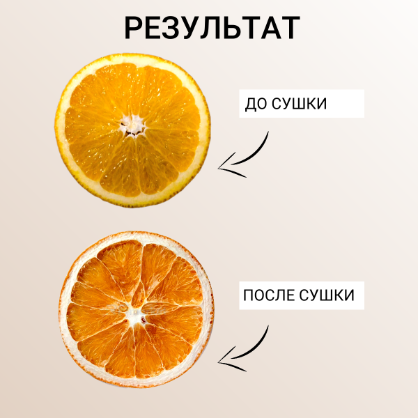 Сушилка для овощей и фруктов Самобранка 50/50 с терморегулятором, 2 шт