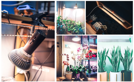 Фитолампа светодиодная Е27 12W Фулл Комфорт