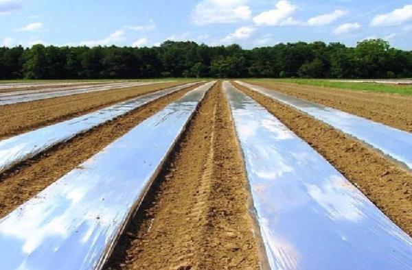Пленка Светлица мульчирующая Грунт 60 мкм полотно 1,2х10 Черная