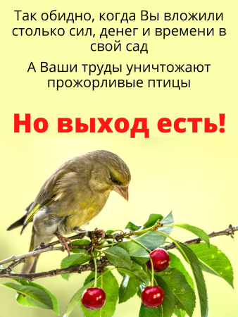 Сетка от птиц 2х10 м 8х8 мм