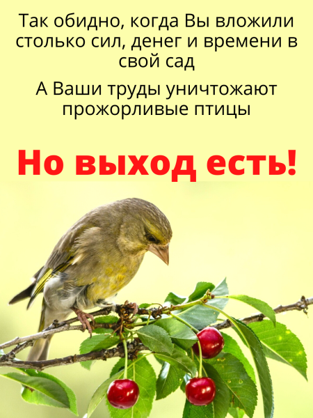 Сетка от птиц 2х10 м 8х8 мм