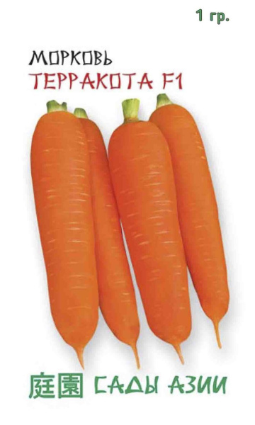 Семена Морковь Терракотта F1 1 гр Сады Азии