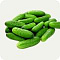 Огурцы