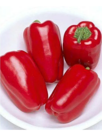Семена Перец Новосибирский 15 шт Сибирский сад