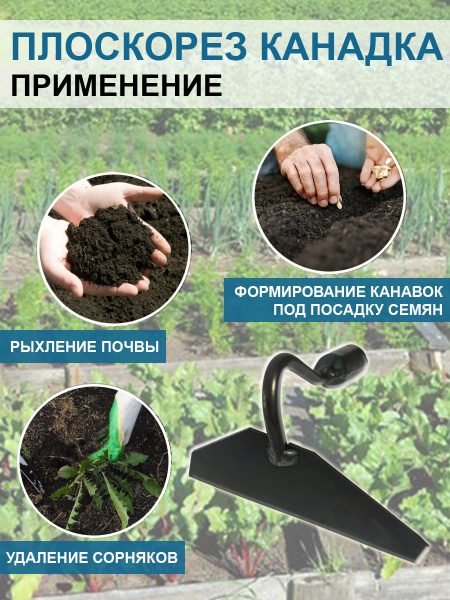 Плоскорез Канадка средний 12 см без черенка