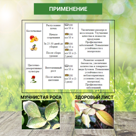 ПРК Белый Жемчуг ЭММ 1 л