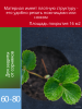 Укрывной материал Грядка в порядке с УФ стабилизатором чёрный мульчирующий перфорированный 60 г/м2, 1,6 х 10 м Благодатное Земледелие