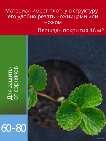 Укрывной материал Грядка в порядке с УФ стабилизатором чёрный мульчирующий перфорированный 60 г/м2, 1,6 х 10 м Благодатное Земледелие