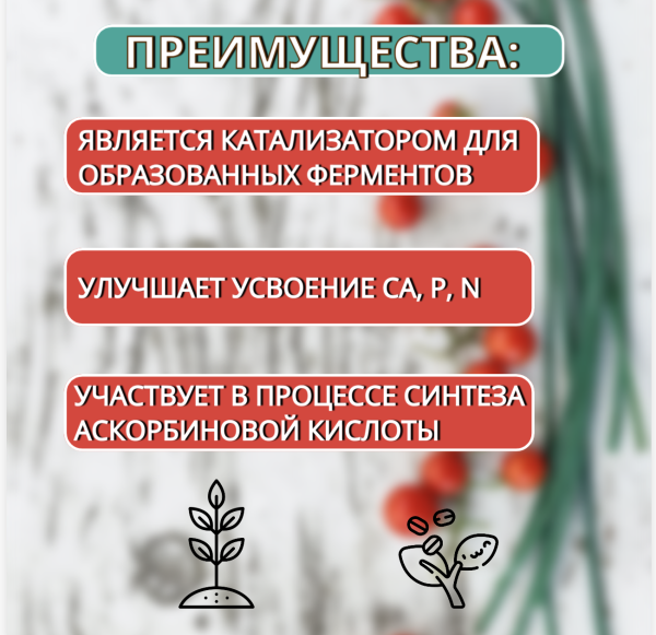 Удобрение хелатное Agree's Магний для увеличения роста и плодообразования растений 1 л Удобрение хелатное Agree's Магний для увеличения роста и плодообразования растений 1 л
