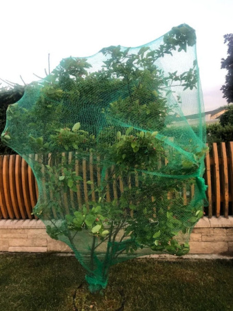 Сетка от птиц зеленая 4х5 м