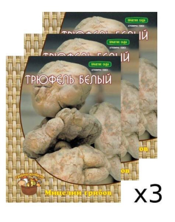 Мицелий грибов Трюфель белый или итальянский на компосте 60 мл, 3 шт