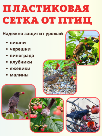 Сетка от птиц 2х10 м 8х8 мм