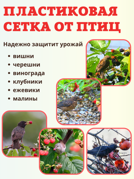 Сетка от птиц 2х10 м 8х8 мм