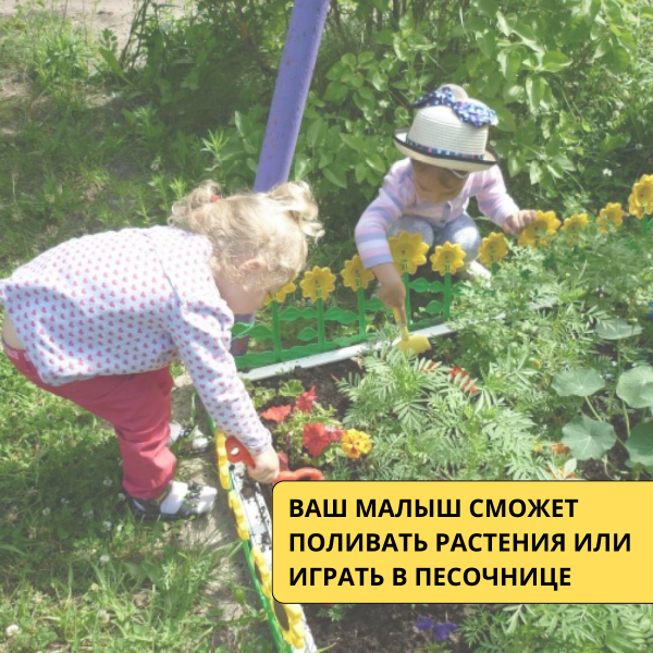 Лейка с распылителем 1 л Салатовая Комби Лейка с распылителем 1 л Салатовая Комби