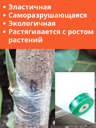 Секатор прививочный для прививания деревьев и кустарников с 3-мя ножами + прививочная лента Green Helper GT-001