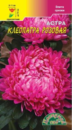 Семена Астра Клеопатра Розовая Цветущий сад