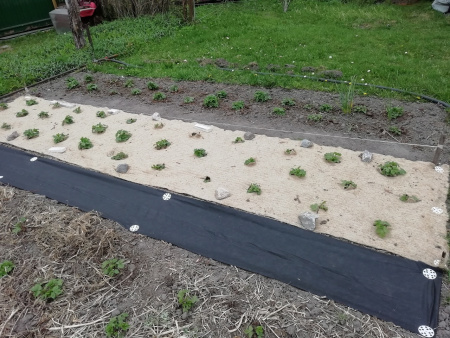 Укрывной материал льняной МульчаЛён 1 х 3 м Благодатное Земледелие