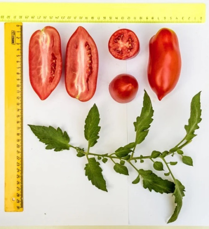 Семена Томат Царское Искушение F1 10 шт Партнер