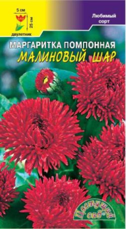 Семена Маргаритка махровая Малиновый шар Цветущий сад