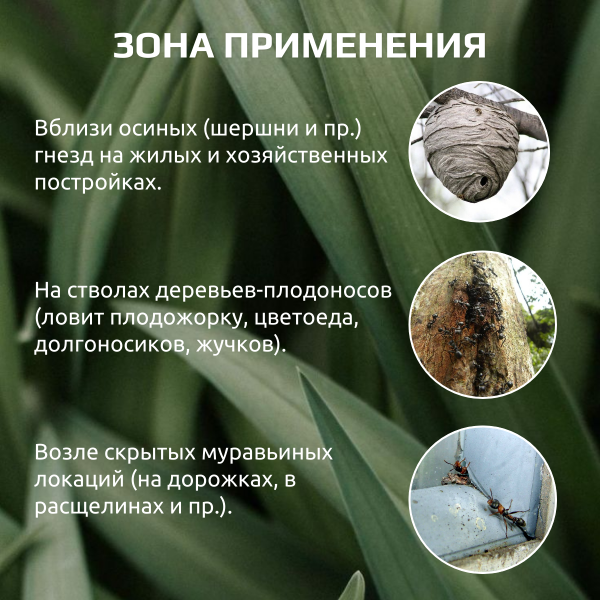 Нетоксичный клей от насекомых для ловчего пояса ловушек Ecotrap Экотрап Нетоксичный клей от насекомых для ловчего пояса ловушек Ecotrap Экотрап