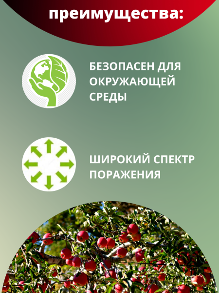 Битоксибациллин биопрепарат для защиты садовых растений от насекомых вредителей 20 г, 20 шт