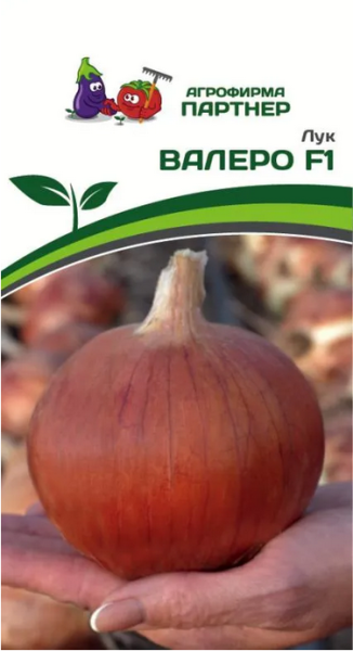 Семена Лук репчатый ВАЛЕРО F1 0,5 г Партнер