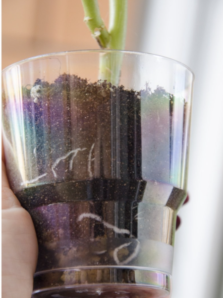 Гель для укоренения растений Fitaktiv Extra PLUS 100 мл