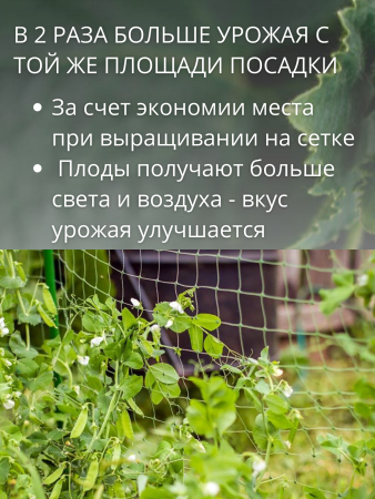 Сетка шпалерная для вьющихся растений 2х10 м ячейки 15х17 см