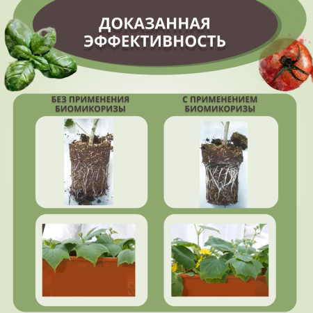 БиоМикориза 20 г