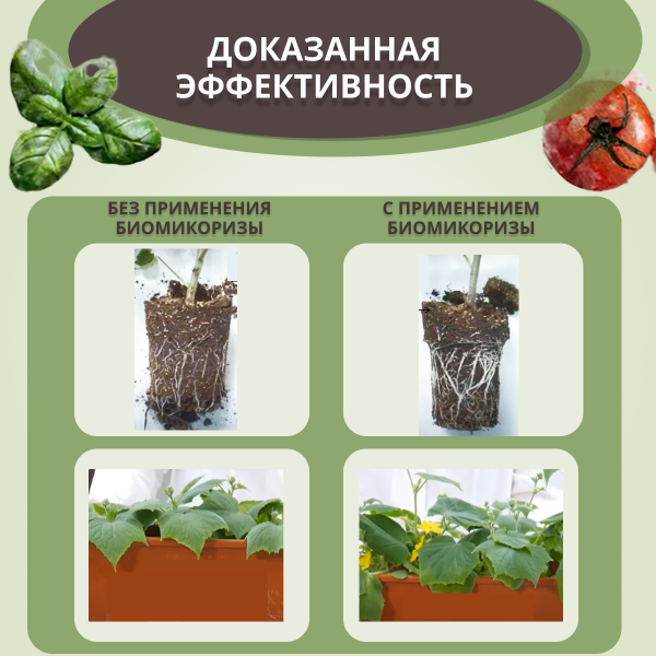 БиоМикориза 20 г, 5шт БиоМикориза 20 г, 5шт