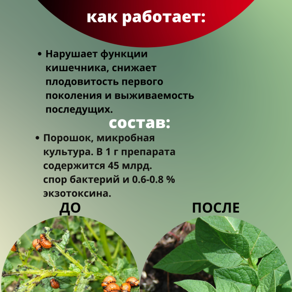 Битоксибациллин биопрепарат для защиты садовых растений от насекомых вредителей 20 г, 6 шт