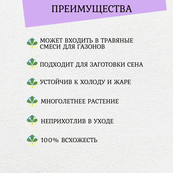 Сидерат Полевица Побегоносная 200 г