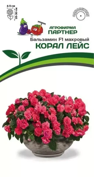Семена Бальзамин F1 махровый КОРАЛ ЛЕЙС 5шт Партнер 2-ной пак