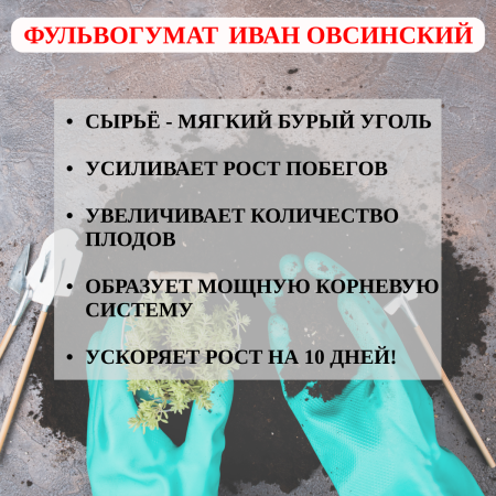 Удобрение Фульвогумат Иван Овсинский для питания растений 10 л