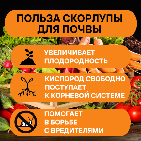 Удобрение Кальций органический Яичная скорлупа 5 л Благодатное земледелие