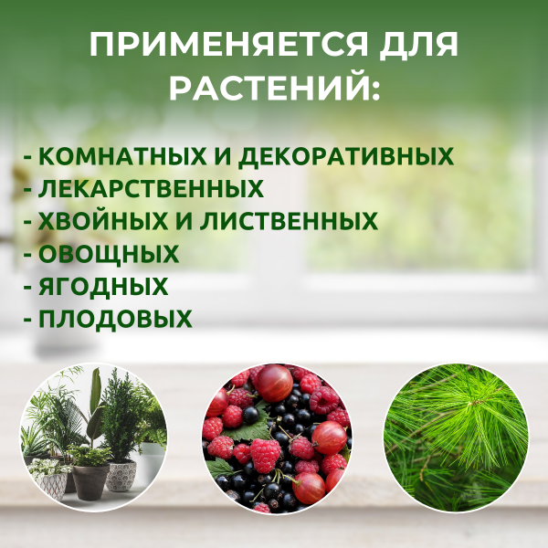 Удобрение Феровит от хлороза и сосущих вредителей растений 1,5 мл (Товары, которые скоро пропадут из магазина)