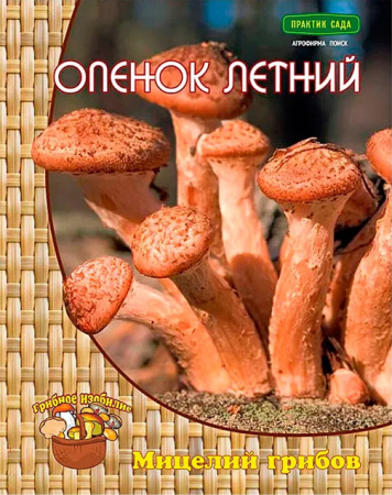 Мицелий грибов Опёнок летний на деревянных палочках 12 шт