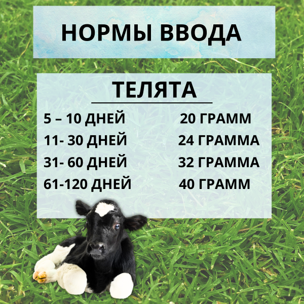 Кормовая добавка Биовит-80 10%, 5 шт по 450 г